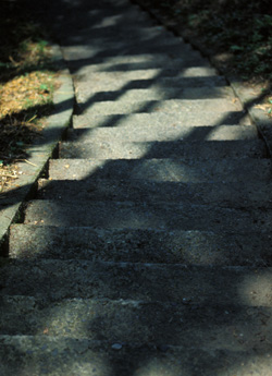 shining steps.JPG